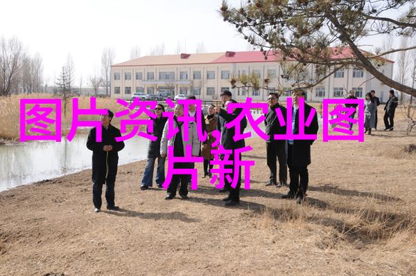 花卉百科我来教你识花这10种常见野花你可能还没注意过
