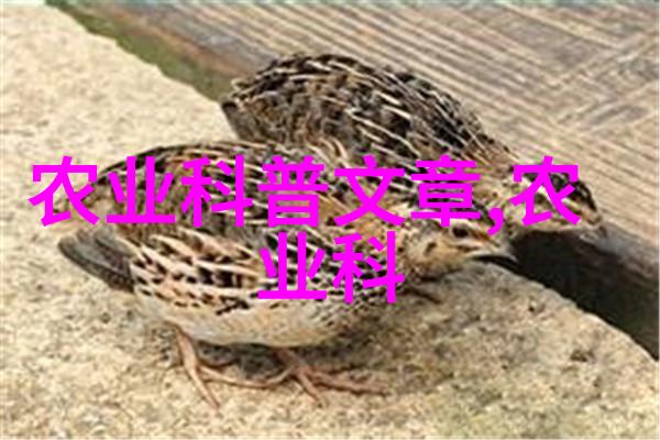 农资店的初期投资主要包括哪些成本