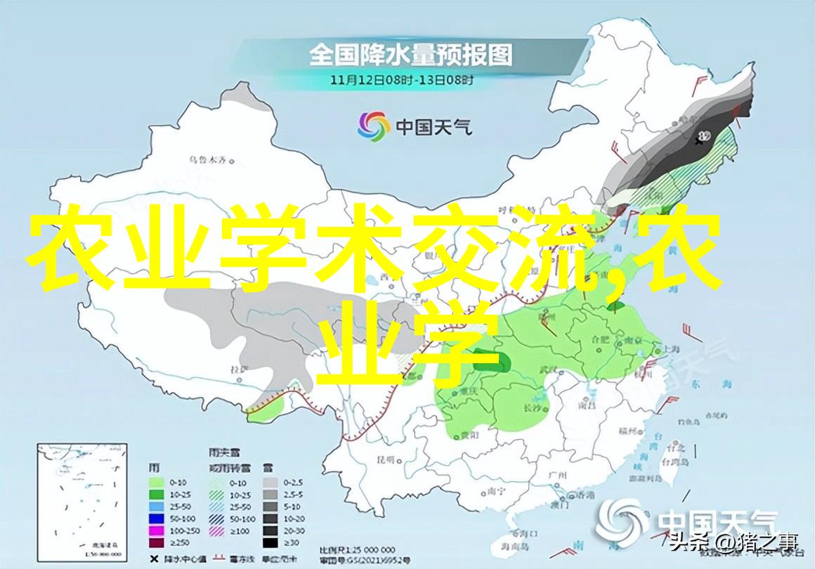 夏天最适合社会养这7种客厅最旺财的多肉新手也养不死