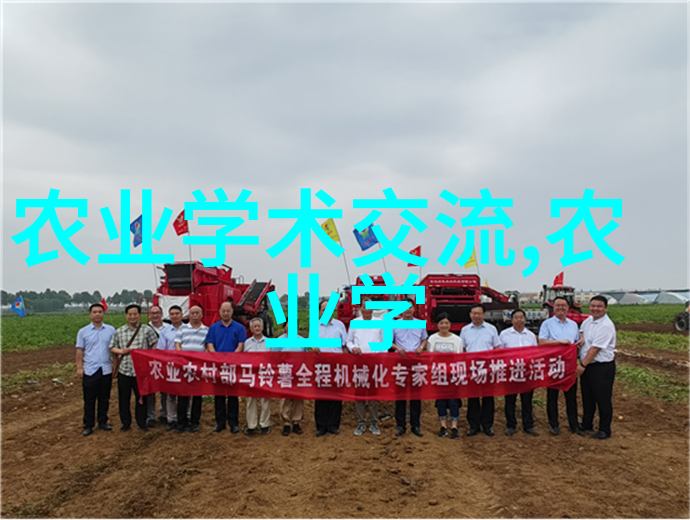 茶文化与品鉴探索中国传统茶艺的艺术与科学