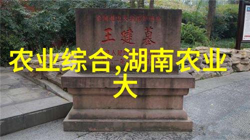 茶韵深长探索世界各地的茶文化与习俗