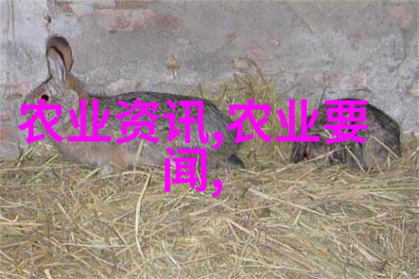 公交车车站最后一排被多人玩我在公交车上遇见了一个奇怪的现象