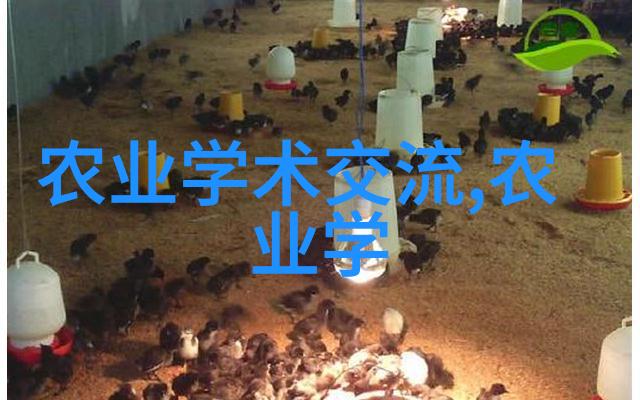 中国蔬菜种植网绿色生态的未来之路