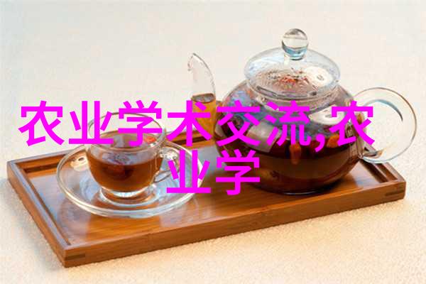 重返旧生之路的轮回
