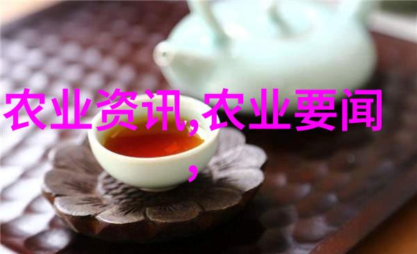 无尽追求揭秘执迷的全文阅读世界