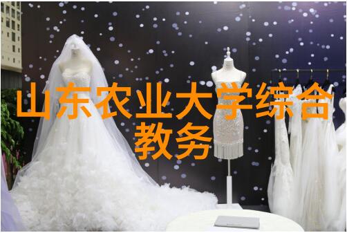 星光闪烁时刻璀璨夜空中最亮的星星