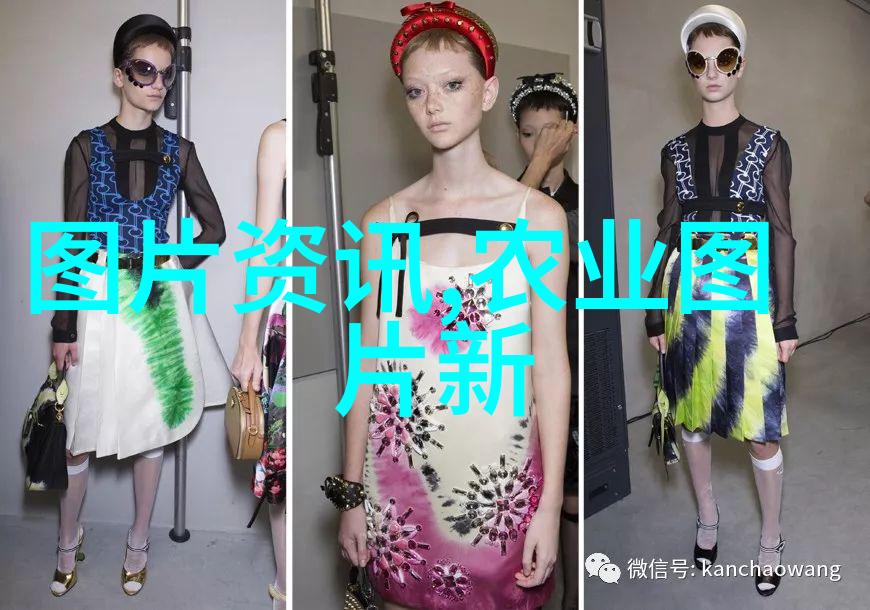 探秘药物宝库全球最贵药材的精彩图像展览