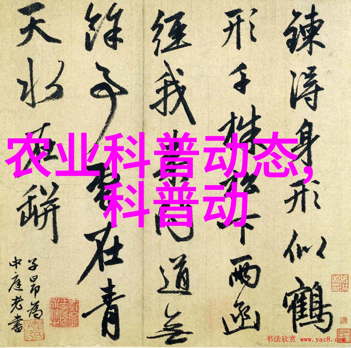 行情暴跌导致了苗木种植者的收入大幅减少吗