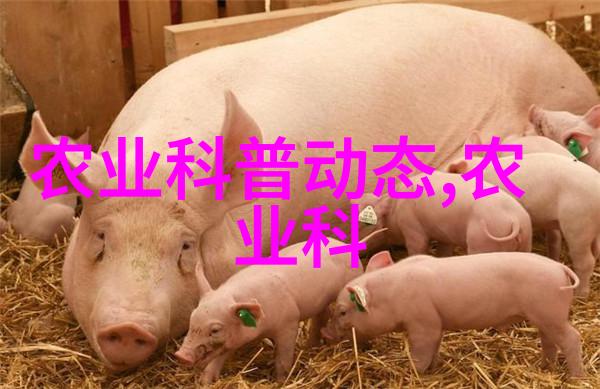 种菜的免费网站有哪些亲测好用
