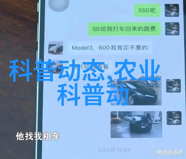 阳台上好养的水果种植技巧和选择