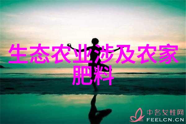 一壶四亿金探索中国最高端茶文化