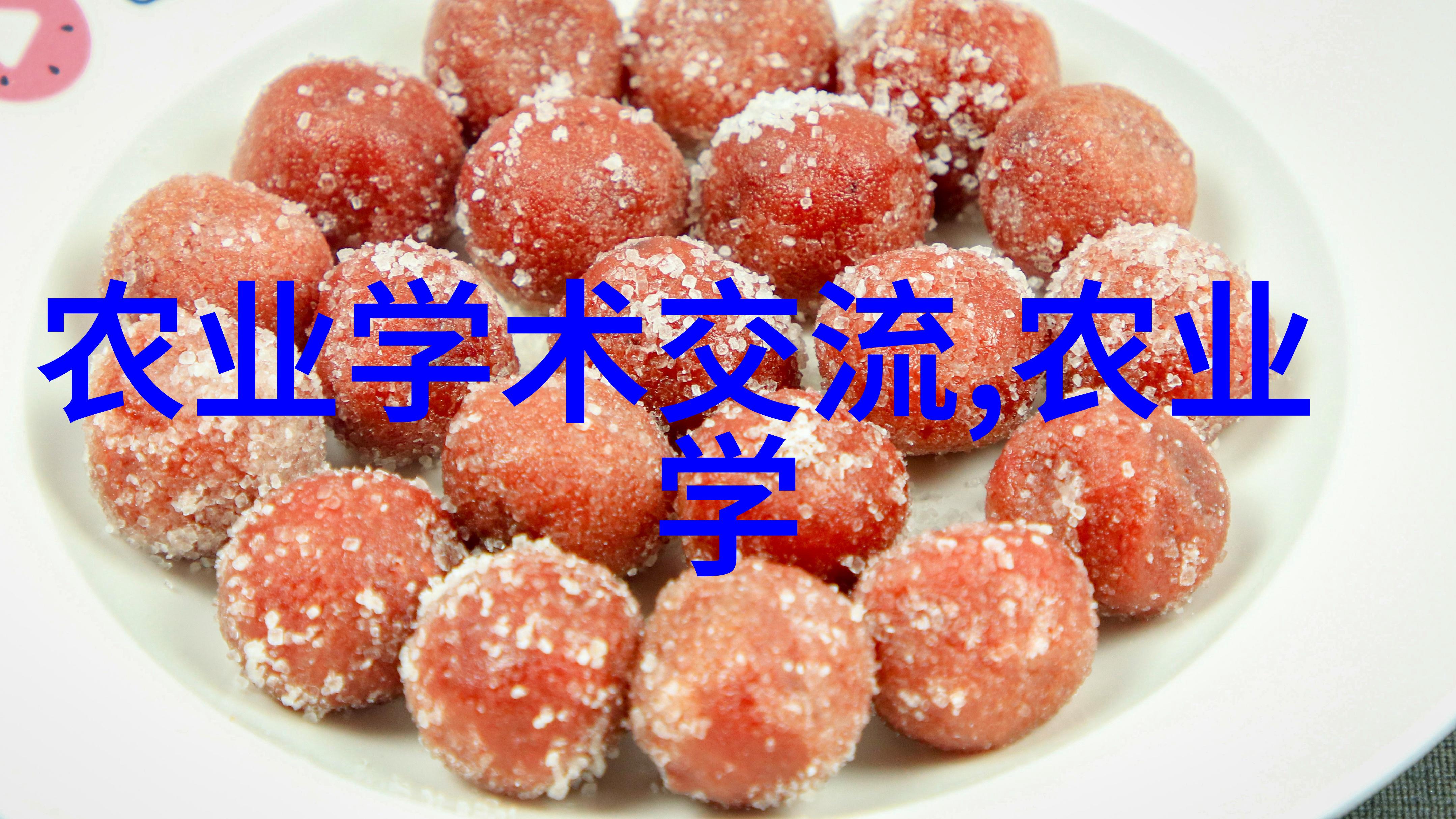 水旱两用耕田机我的农场的新希望