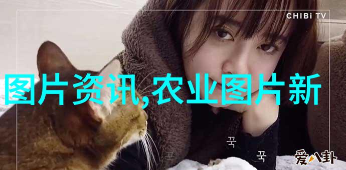 家庭水培蔬菜养护小贴士避免常见错误提升成功率