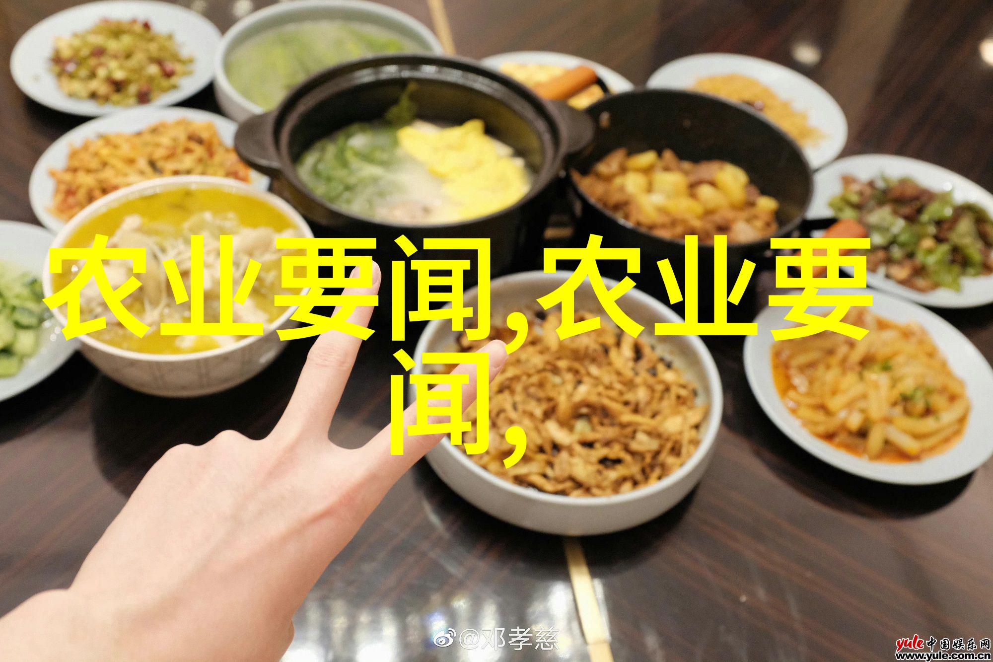客厅最旺财的植物我是怎么把客厅变成钱树的