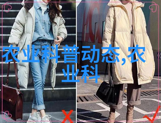 冬日绿意探索室外耐寒的花卉之美