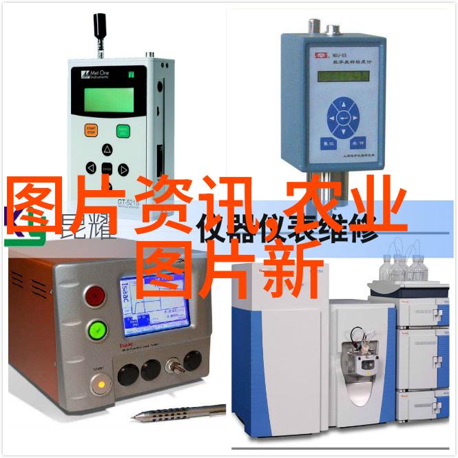 园丁启蒙家中菜园的选择与技巧