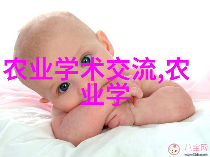 菜园秘籍绿意盎然的种植艺术