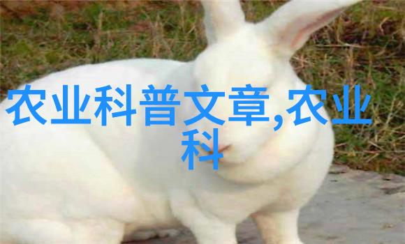 温室大棚育苗奇迹种植娃娃菜的无公害秘籍
