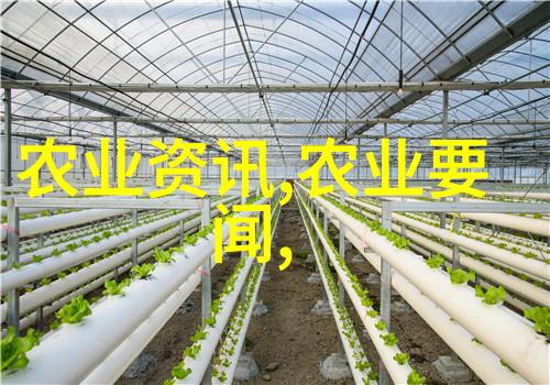 如何预防和控制在板蓝根种植过程中可能出现的病虫害