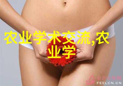 农民工就业饭碗在农业综合新闻中越来越稳固成为社会经济发展的物质保障
