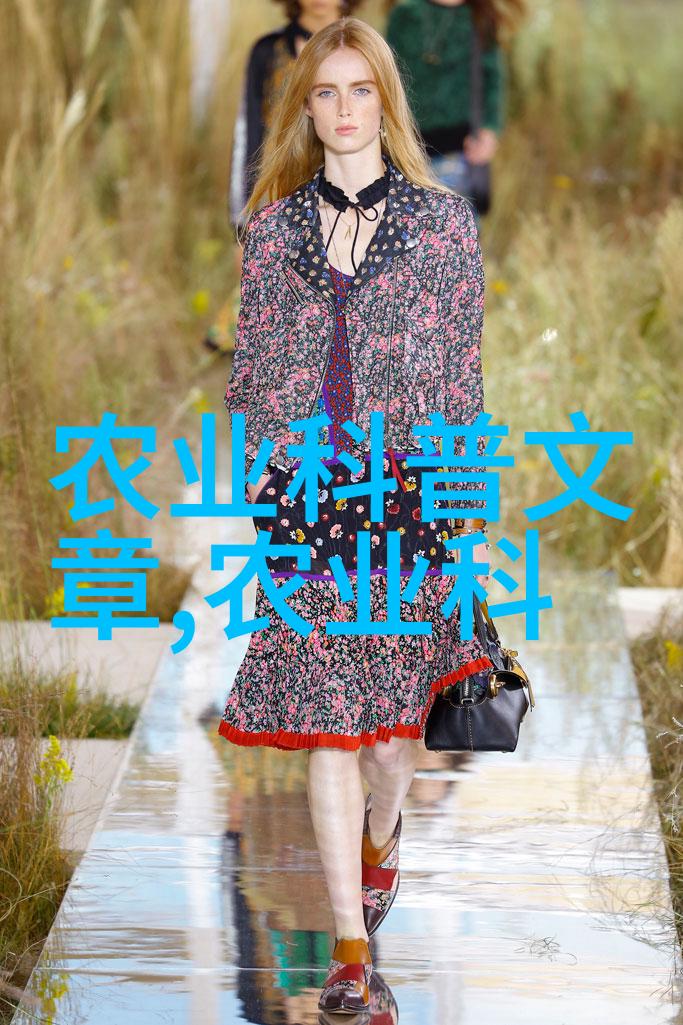 哔哩哔哩动画网络热门动漫社区的疼痛与欢笑