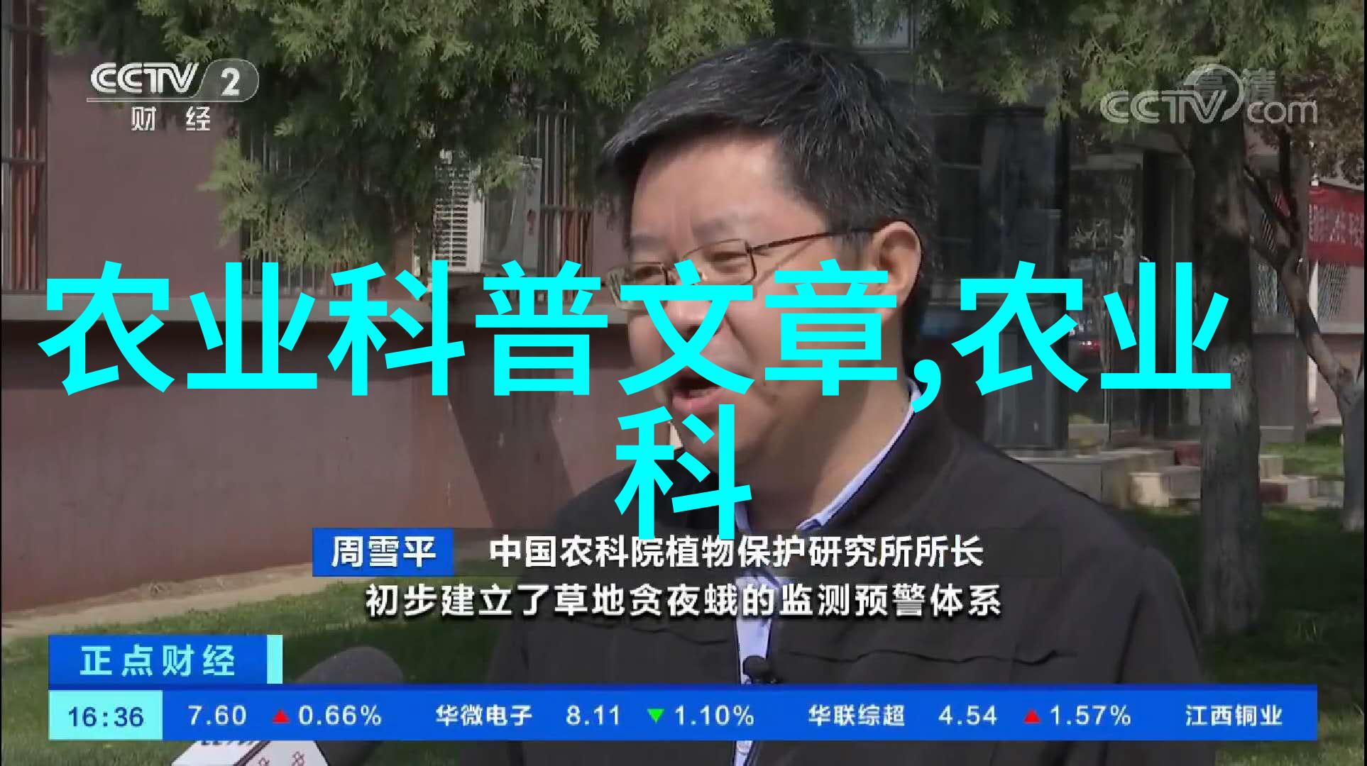 后宫寻俊咱家缺一位风华绝代的少年