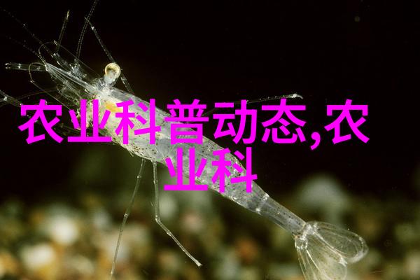 茶香浮动解锁绿茵之巢的秘密花园