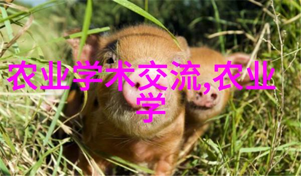 水果园的初学者如何轻松种植柑橘类水果