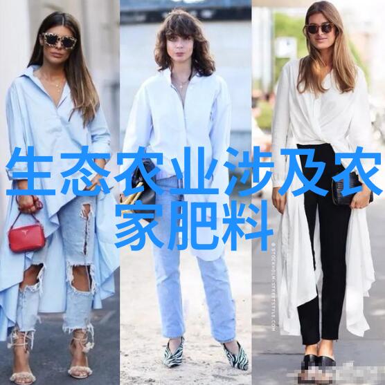冬日之恋探索室外耐寒的花卉精选