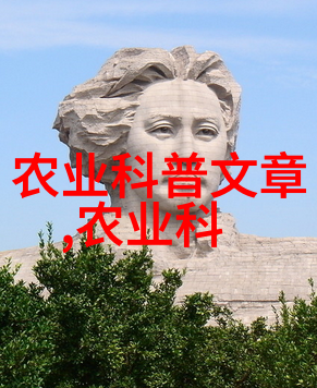 玉米种子的秘密生活从土豆梦到金黄奇遇