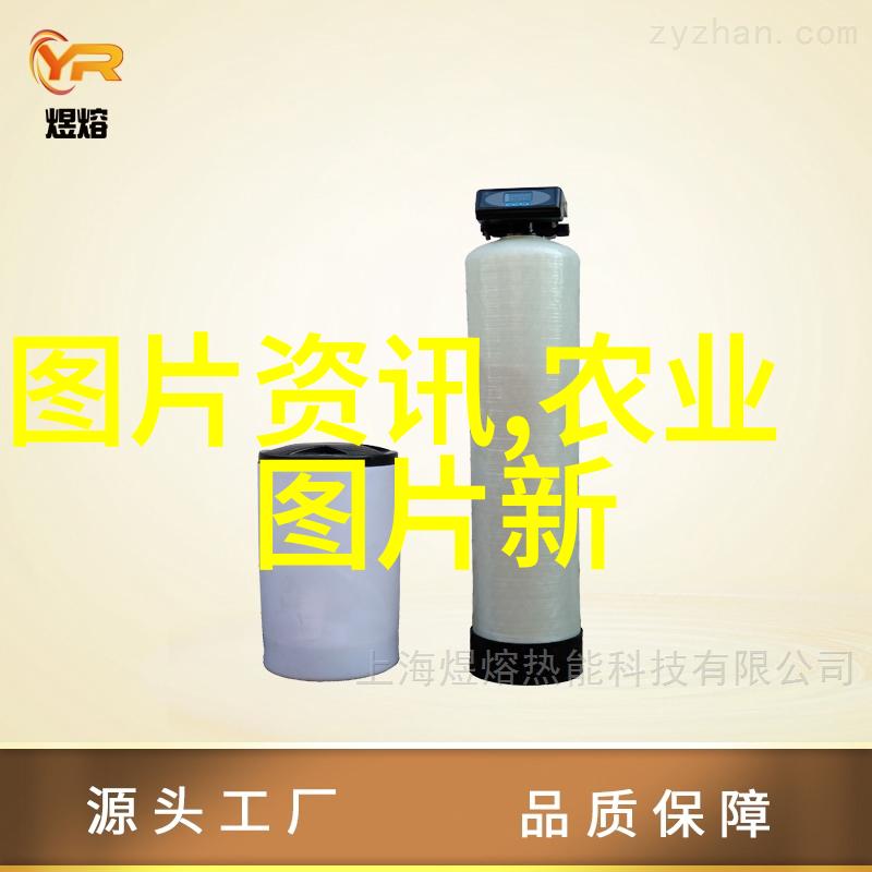 阳台上的果实奇迹从无到有仅用一双手和一点点爱