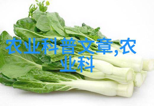 绿茵滋味蔬菜种植的全方位指南