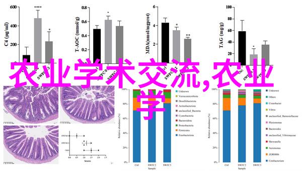 我来告诉你茶香满园从普洱到龙井一步步了解各种茶叶的种类和名字