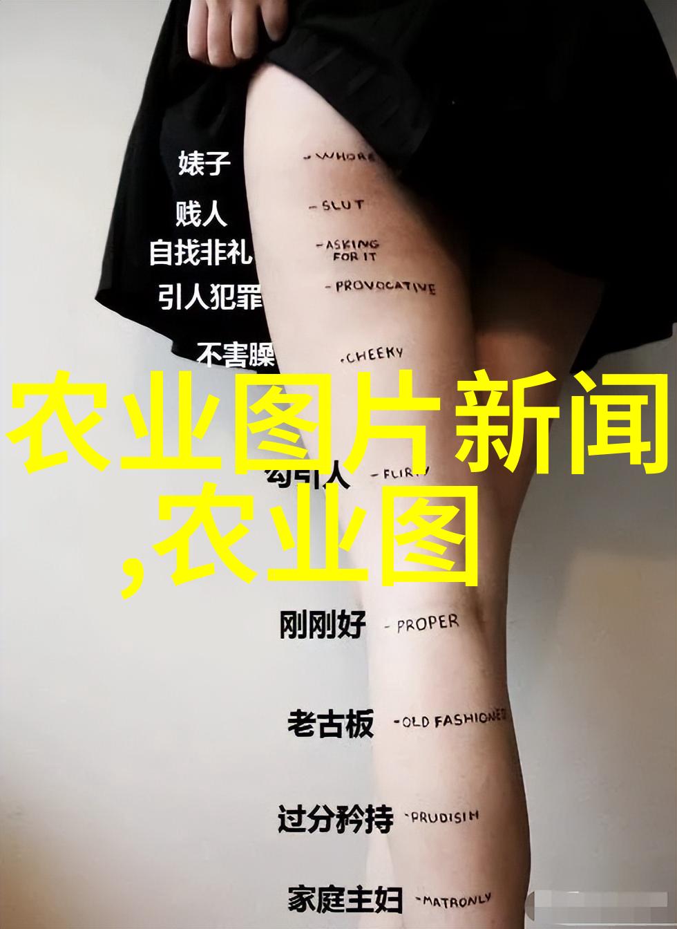 秋日漫步中的香甜秘密探索姬菇的世界