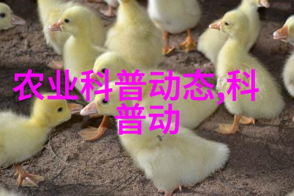 2021年创业投资风向小投大赚的好项目探秘