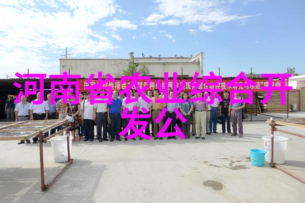 小型微耕机绿茵梦想的种子播撒者