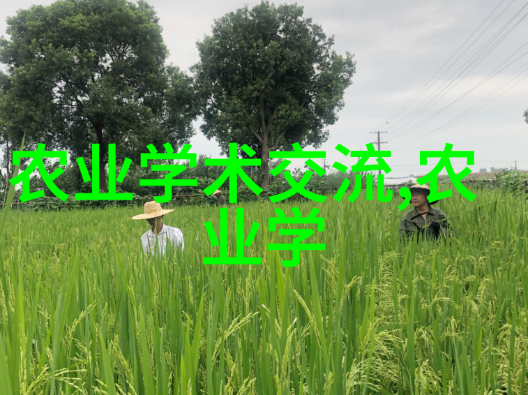 吉林大地绿意盎然2800万亩农田实施农业技术综合基础知识保护性耕作
