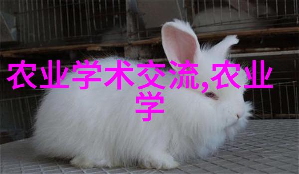家中水培蔬菜的误区种植小秘诀大揭秘