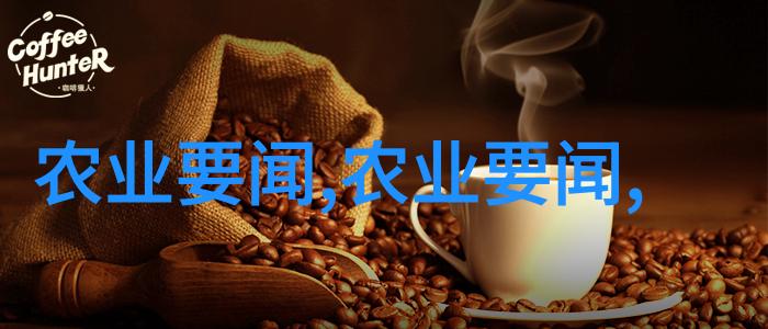 冬日乐趣-雪菜的悠然探寻冬季蔬菜的秘密