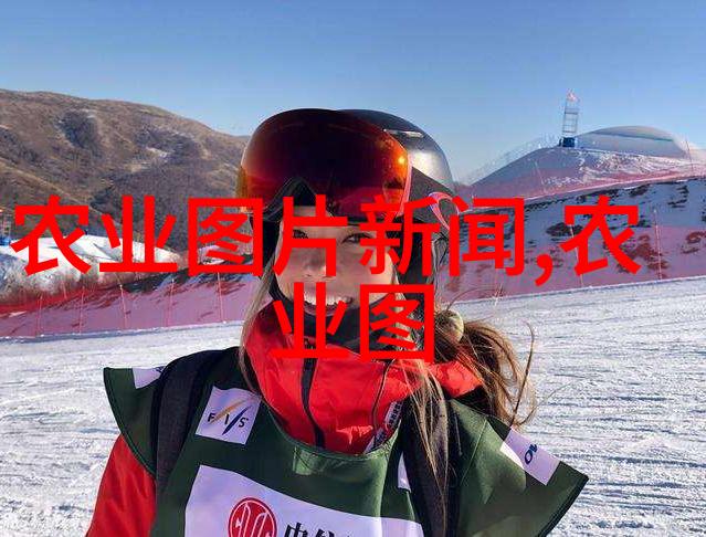 探秘-小宝寻花奇遇揭秘观看视频的最佳网站