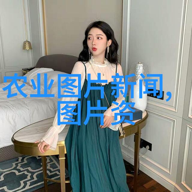 对农业机械的认识-耕耘未来深入理解现代农业机械化进程