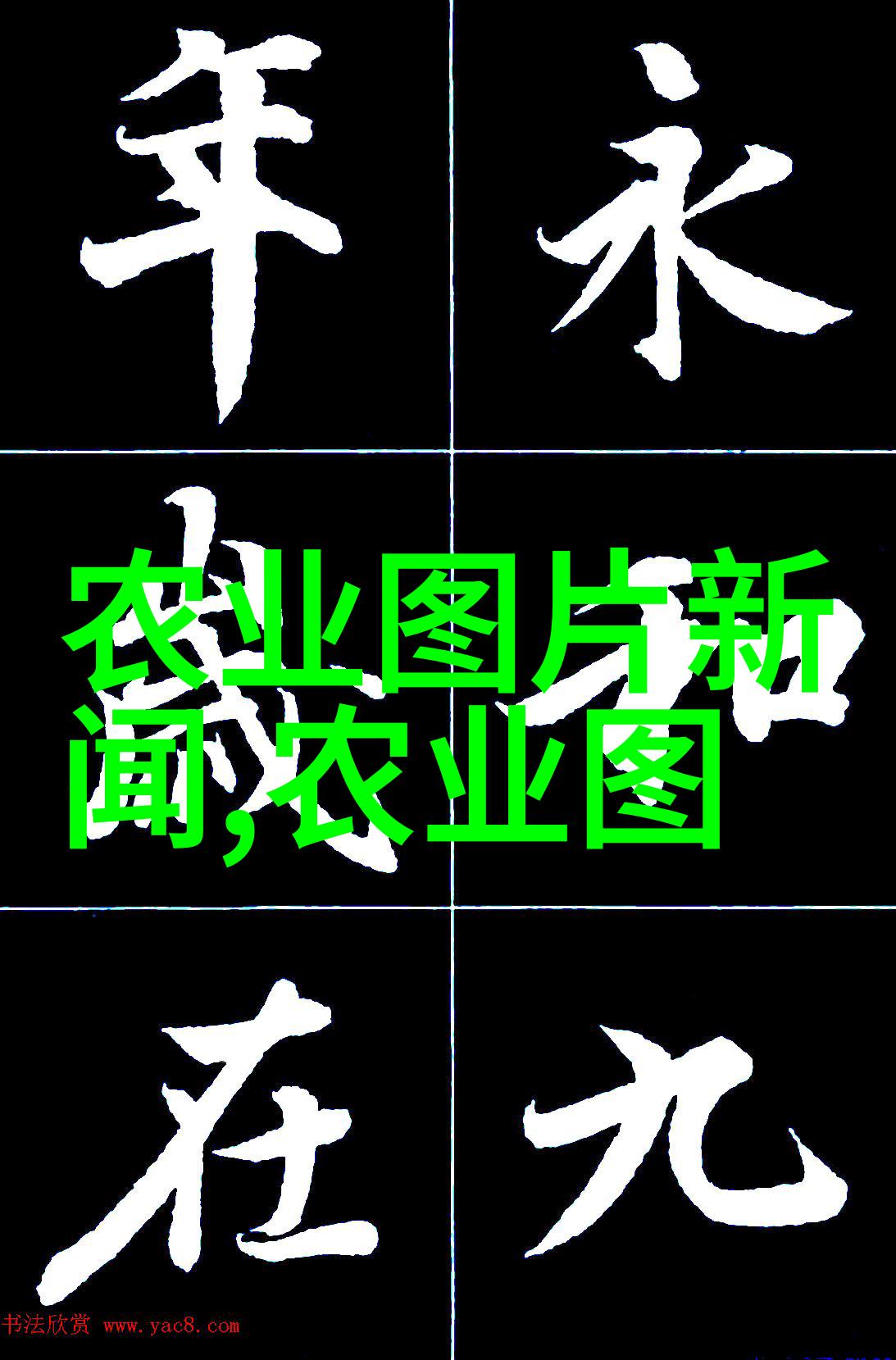 中药材种植指南适合中国气候的常见中药草本植物