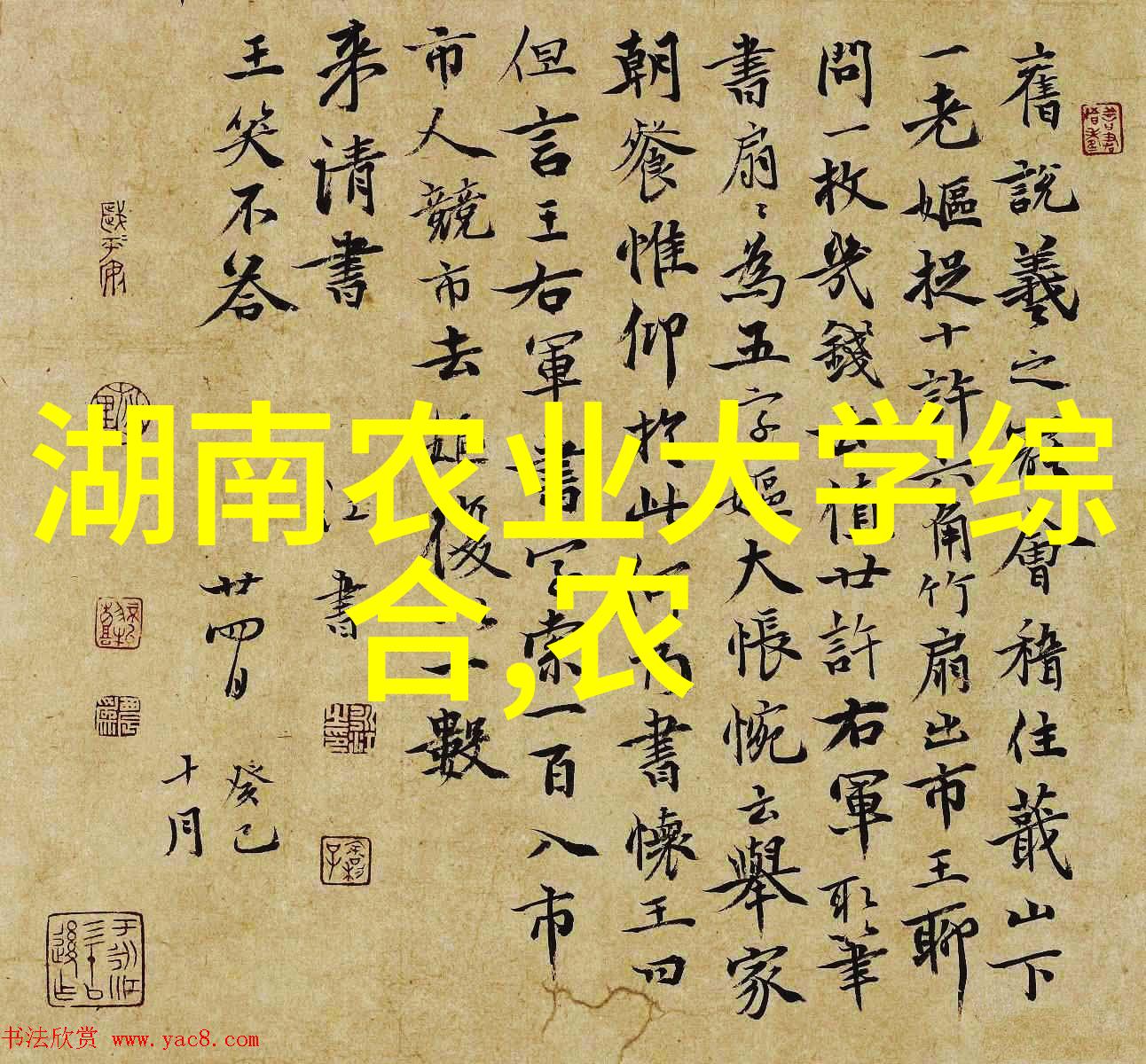 (春夏秋冬)满分使用这些312年四季皆宜植物让你的花圃活力不减