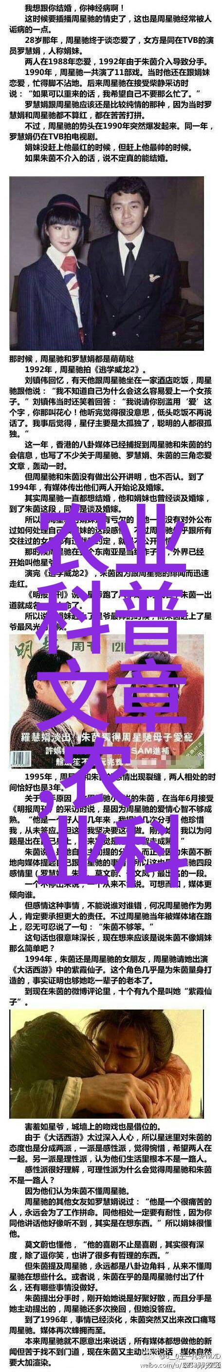如何正确地提供光照给无土水培的蔬菜