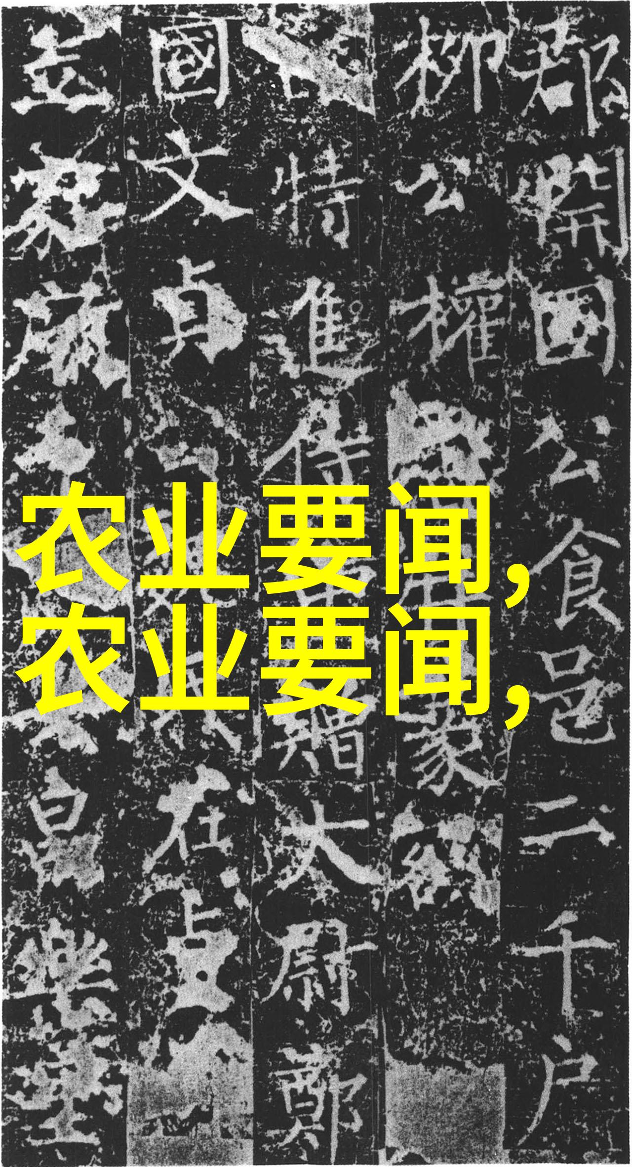 中年人力资源探索五十岁以上人才的就业机会与挑战
