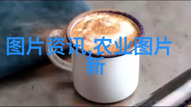 黄瓜种植技术我来教你怎么搞定这块地的黄瓜