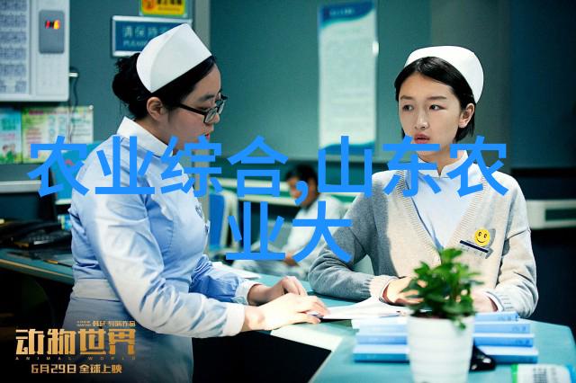 中药材的季节收获一年四季的二次采摘秘籍