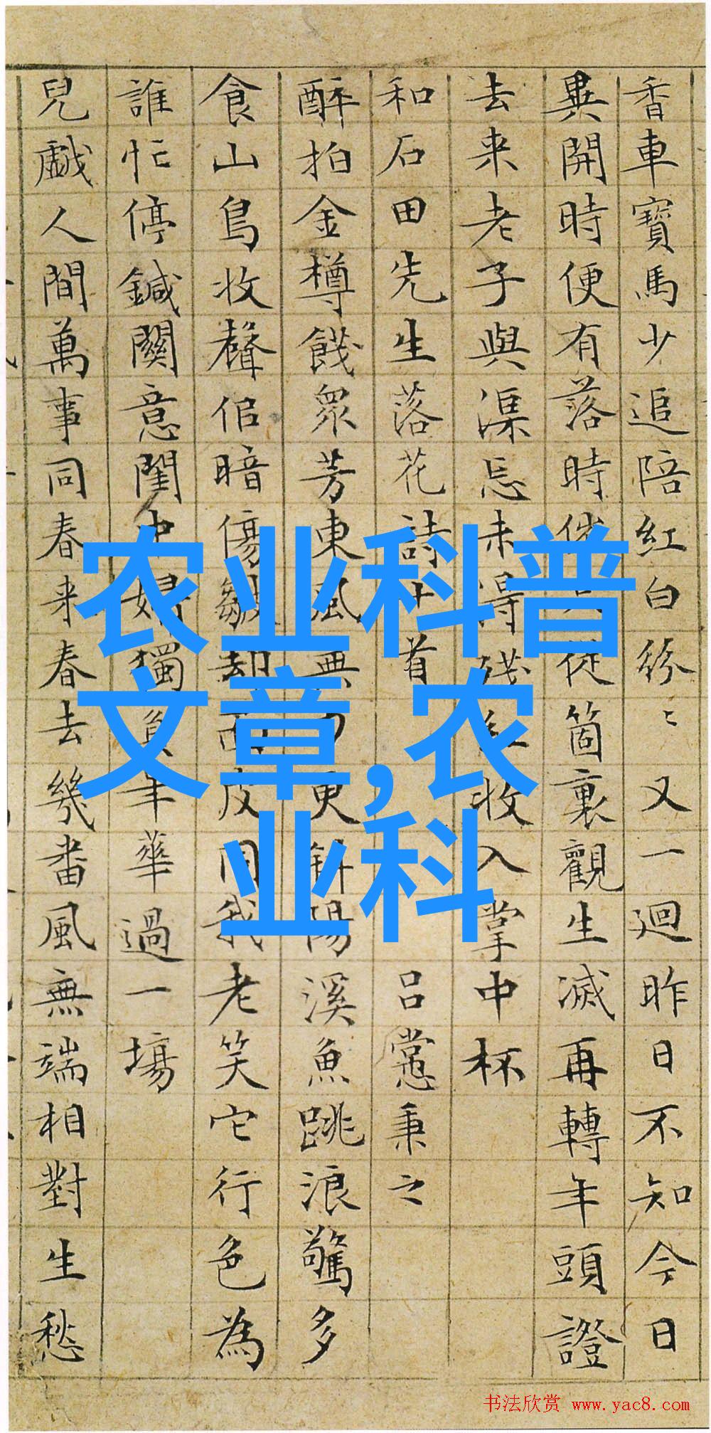 家庭客厅养什么花好4种花打不死特别适合