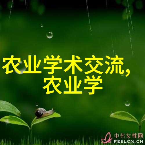 茶的独特风味品质上乘的茶饮体验