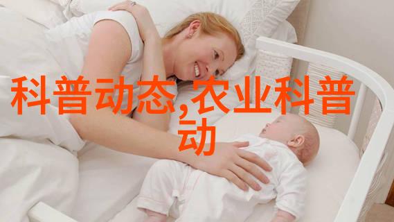 大型旋耕起垄施肥一体机高效农业机械化设备